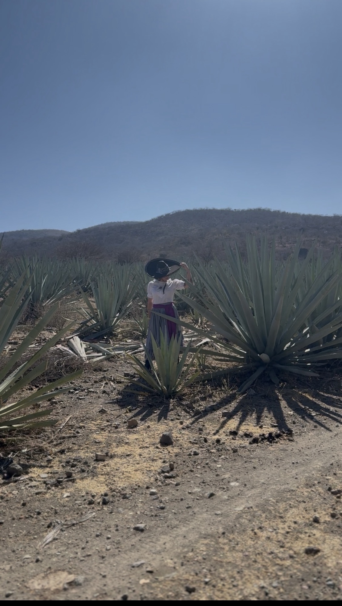 Historic Haciendas of Oaxaca Hacienda Guegorene, San Pedro Taviche